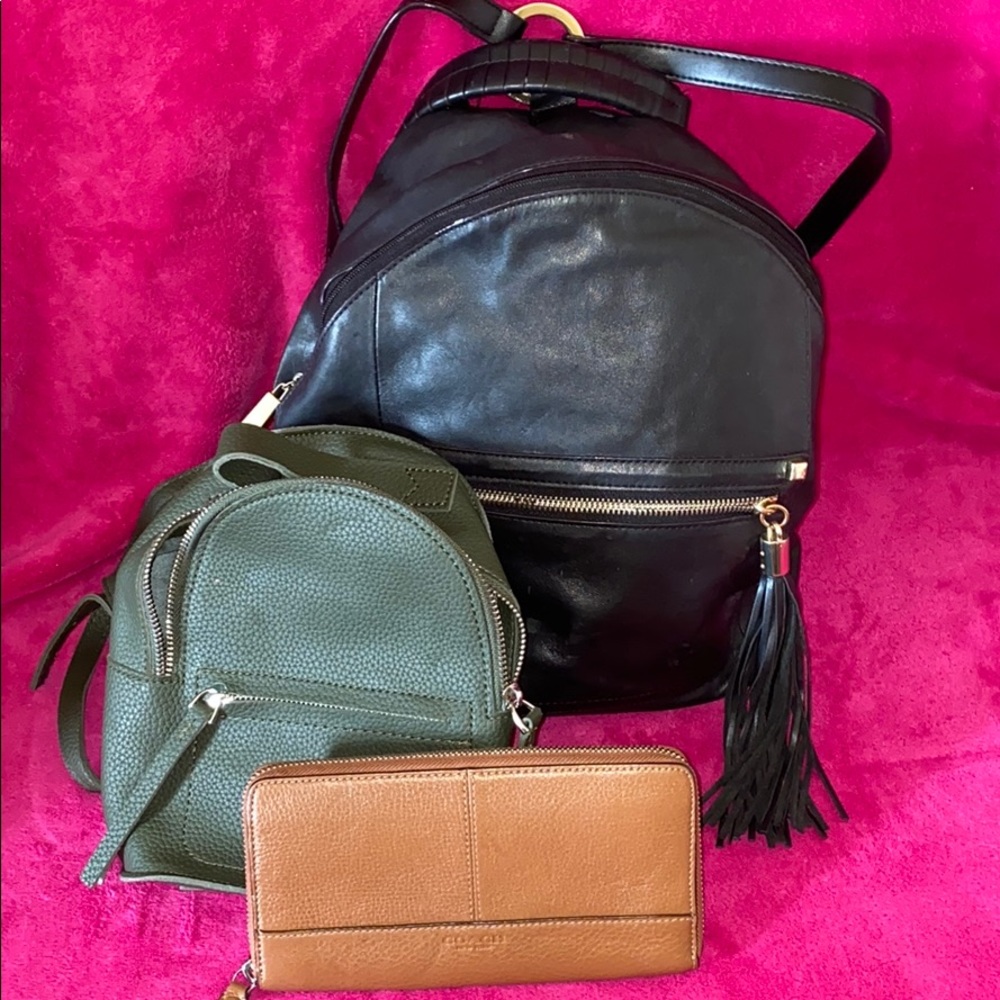 Antonio Melani backpack, coach wallet, backpack